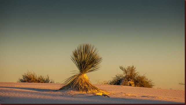 White Sands NM Sunset Walk (50 of 96)