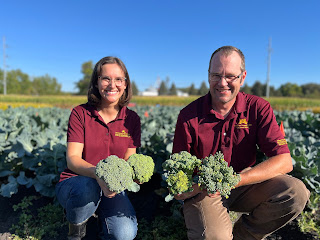 Two people kneel in a field of broccoli, each hold a few different broccoli varieties in their hands.