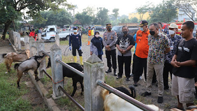 Purworejo Akan Berlakukan Lockdown Hewan Ternak