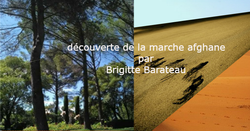 la marche à coeur ouvert par brigitte barateau artiste de galerie.xyz