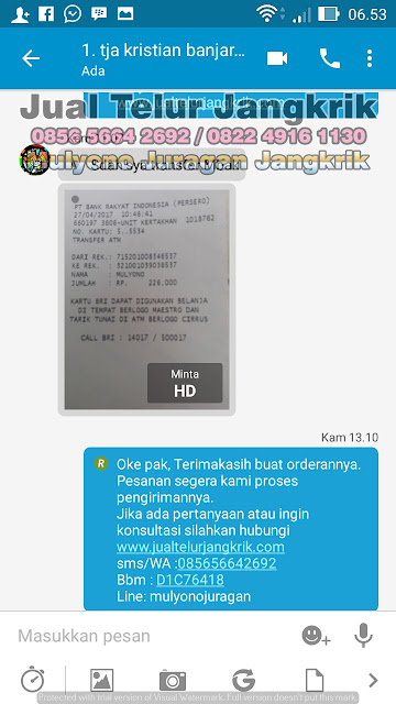 budidaya jangkrik, cara beternak jangkrik, cara budidaya jangkrik, cara ternak jangkrik, jual telur jangkrik, ternak jangkrik