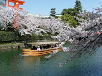 平安神宮の鳥居と満開の桜