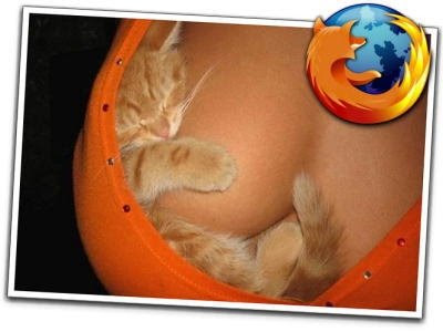 Rahasia Blog: Sexy mozilla firefox hot girls