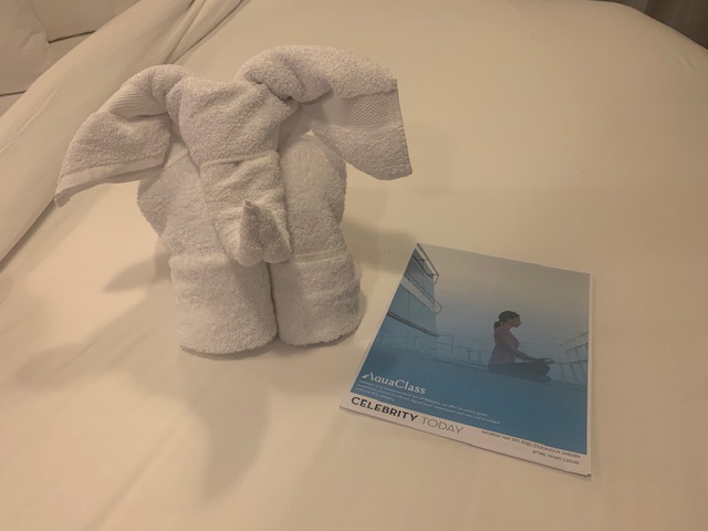 Towel elephant, with a magazine on a cruise ship bed