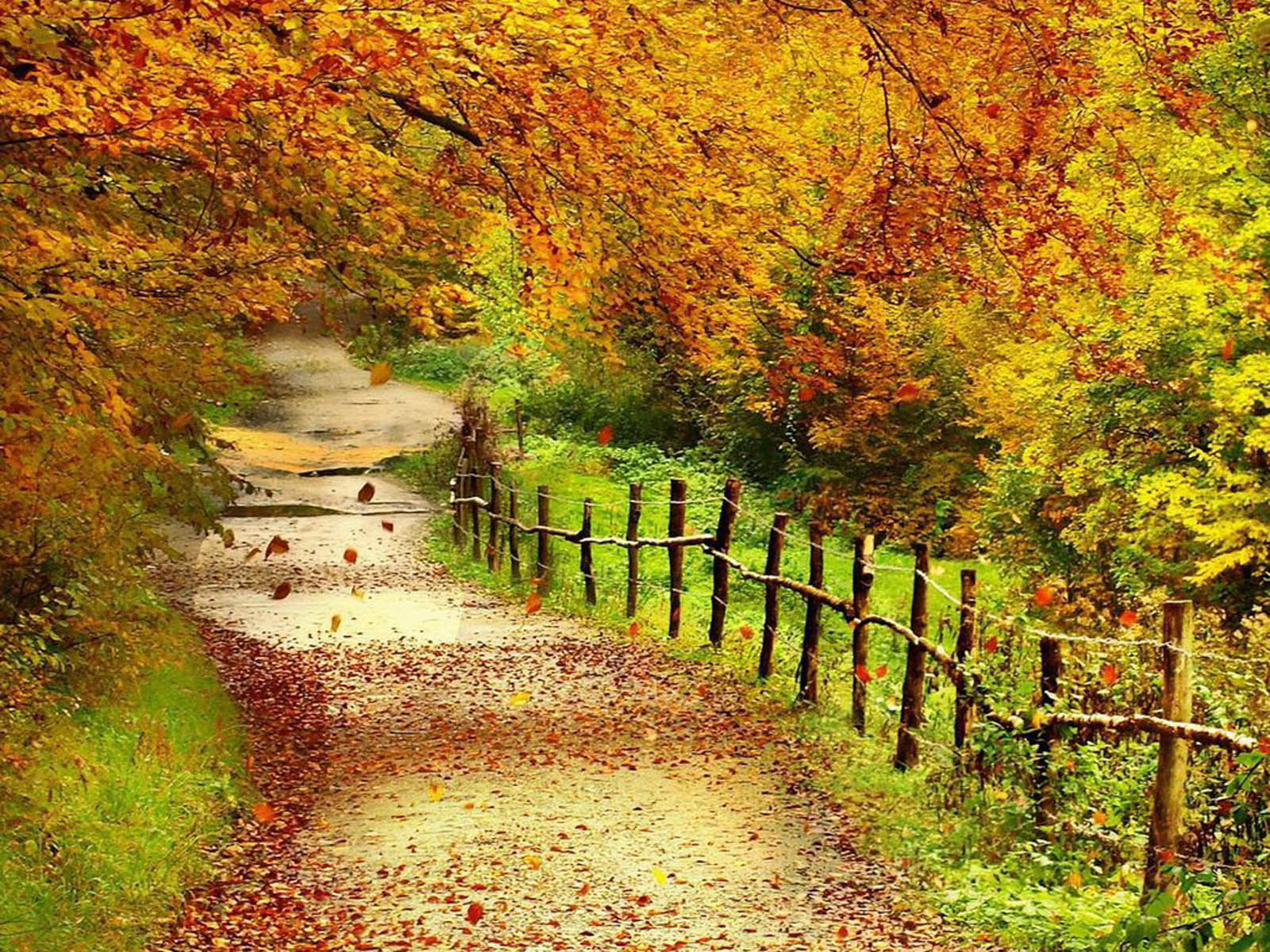 ... Autumn Scenery Wallpapers,Backgrounds, Photos, Images and Pictures for