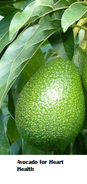 Amazing health benefits of Avocado Butter Fruit Makhanphal - Avocado for Heart Health