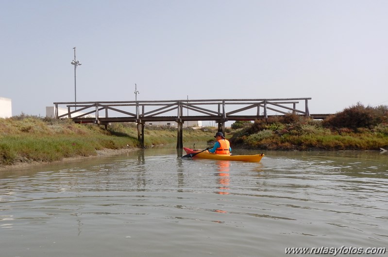 La Magdalena - Caño del Carrascón - Gallineras - Caño de Sancti Petri