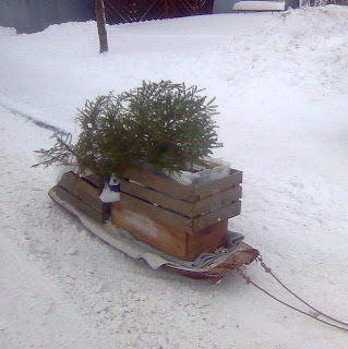 Varutransport med militärpulka i stan