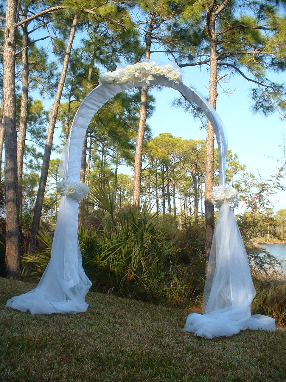 Wedding Arches