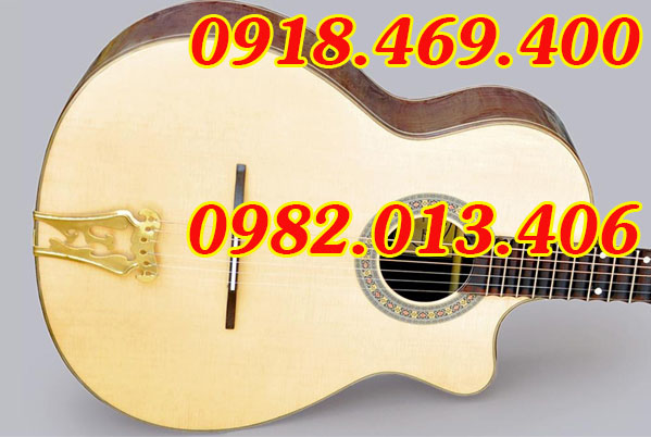 guitar binh tan 1