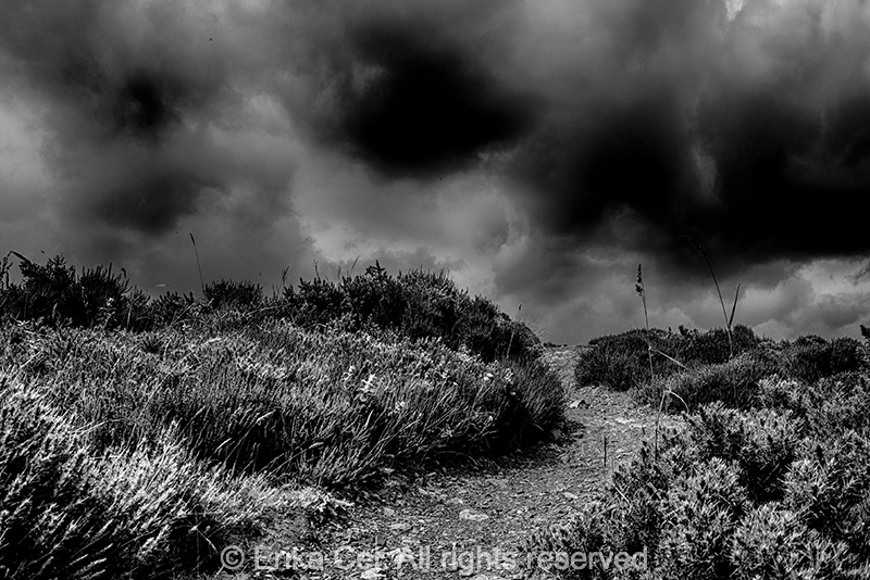 Howth Dublin Ireland