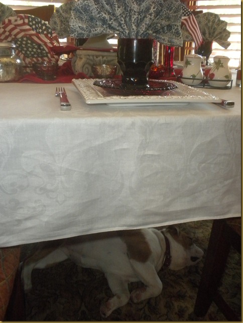 DSCN4224_275