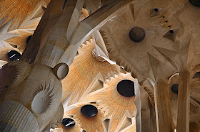 The Ceiling at Sagrada Familia Cathedral in Barcelona