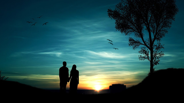 Romantic evening couples trees birds sunset silhouette HD Wallpaper