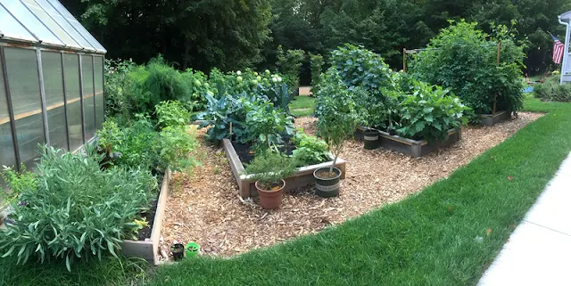 vegetable garden raised bed in a frame mulch