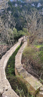 Recogida molino de sa Vall