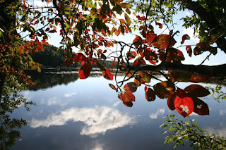 Herring River, N. Harwich