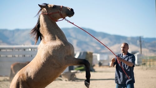 The Mustang 2019 descargar bluray latino