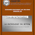 Télécharger gratuitement une très bonne Formation gratuite " LA PATHOLOGIE DU BÉTON " 