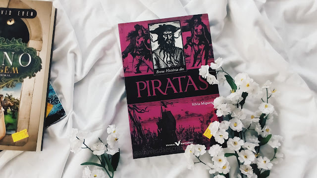 breve historia dos piratas, silvia miguens, top livros, book haul