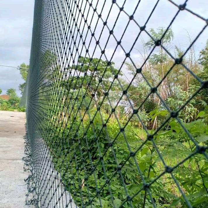 Jaring Lapangan Futsal Bandung: Tempat Berkumpulnya Passion Sepak Bola