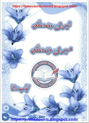 Teri bandagi meri zindagi novel by Hijab Rana Complete pdf