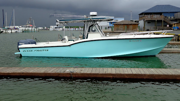 Galveston Bay Area Fish