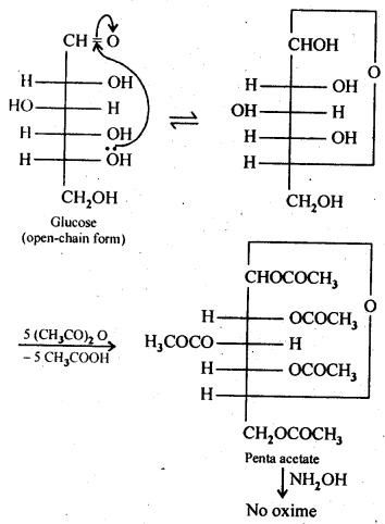 Solutions Class 12 Chemistry Chapter-14 (Biomolecules)