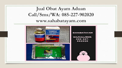 Obat Ayam Habis Diabar, Obat Ayam Habis Kena Jalu, Obat Ayam Habis Lumpuh, Obat Ayam Habis Sakit, Obat Ayam Habis Tarung Jalu