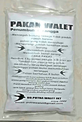 Cara Mendapatkan Serangga Untuk Burung Walet