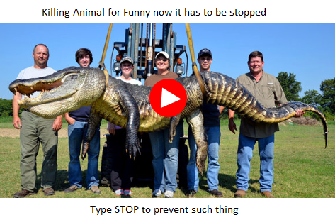 http://go.ad2up.com/afu.php?id=832358