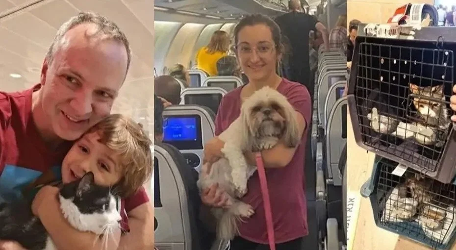 brasileiros repatriados com animais de estimação, blog comunicat, comunicat, pets, israel x palestina, guerra israel x palestina