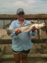 Speckled Trout, JustGoFishin.com