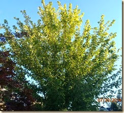 P7301760
