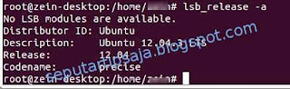 ubuntu installed version on terminal