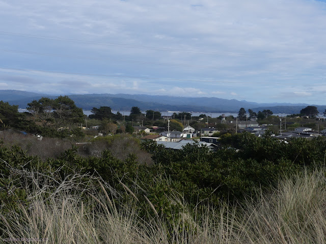 104: bay and houses