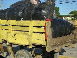 recycling by horse cart, La Ceiba, Honduras