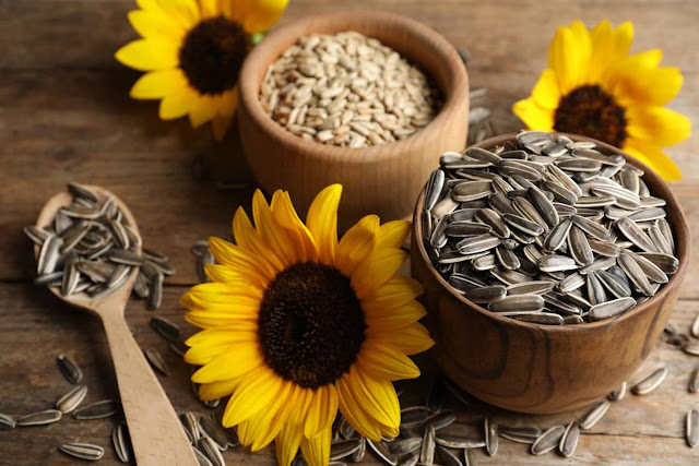 health benefits of sunflower seeds,benefits of sunflower seeds,sunflower seeds benefits,sunflower seeds,benefits of eating sunflower seeds,sunflower seeds health benefits,health benefits of sunflower seeds roasted,health benefits of sunflower seeds nutrition,are sunflower seeds healthy,sunflower seeds nutrition,top benefits of sunflower seeds,sunflower,5 health benefits of sunflower seeds,24 health benefits of sunflower seeds