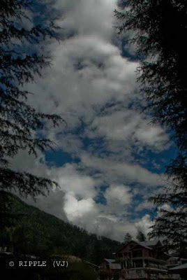 Clouds framed with high Deodars @ Hadimba Temple, MaClouds framed with high Deodars @ Hadimba Temple, MaPosted by Ripple (VJ) : ripple, Vijay Kumar Sharma, ripple4photography, Frozen Moments, photographs, Photography, ripple (VJ), VJ, Ripple (VJ) Photography, Capture Present for Future, Freeze Present for Future, ripple (VJ) Photographs , VJ Photographs, Ripple (VJ) Photography :