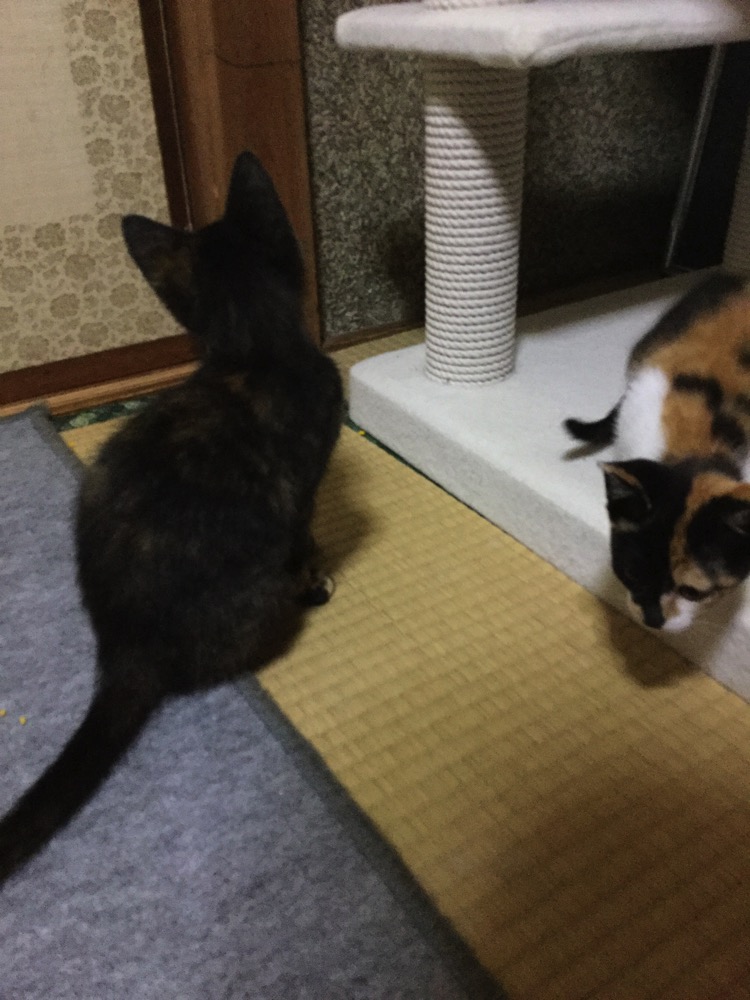 IMG 1760