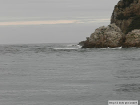 Passeio de barco pela lagoa de Knysna