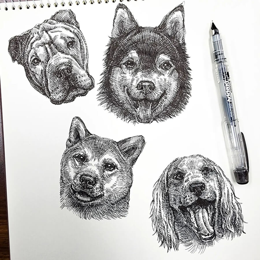 04-Dog-portraits-Animal-Drawings-Jae-Kyung-www-designstack-co
