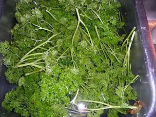 parsley