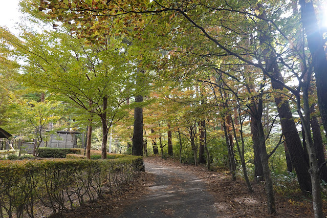 鳥取県西伯郡伯耆町丸山　ふれあいの森キャンプ場