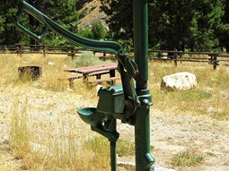 IMG_7725 (Medium)