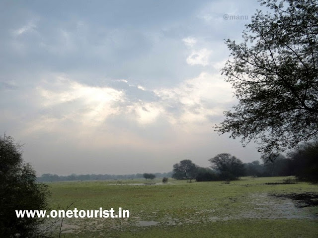 keoladeo  national park bharatpur birds image 