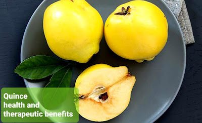 Quince fruit health and therapeutic benefits   سفرجل فوائد صحية وعلاجية منسية داخل فاكهة نبوية