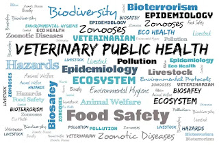 Veterinary Public Health and Epidemiology word cloud