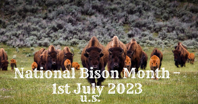 National Bison Month
