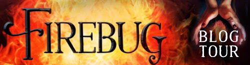 http://www.macteenbooks.com/ya/blog-tour-firebug-by-lish-mcbride/